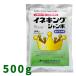 ���ͥ��󥰥����� 500g��10�� ����ѽ������ȯ����� ���� ���沽�إ������ڼ���ʡ�