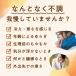 ��������� ������p�b�g �₦ �΍� �E�B�Y�t�F�� ����������p�b�g WARM �E�H�[�� �ቷ�^�C�v 20�� �I�[�K�j�b�N ���� �O�b�Y �����M �D���E�����A�C�e�� �֘A�摜5