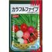  2 10 день дайкон. .. дайкон красочный пять 20ml ( АО )sakata. tane
