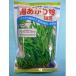 ветка бобы горячая вода ....2000 шарик ka кошка вид рассада ( АО )