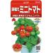  помидор растение в горшке мини помидоры rejina маленький пакет (...75 шарик )( АО )sakata. tane реальный .300