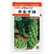 . капуста . сырой ..0.9mltakii вид рассада ( АО ) RF