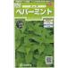  трава. вид мята перечная примерно 1300 шарик ( АО )sakata. tane реальный .(003190)