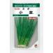  лук порей маленький лето 15mltakii вид рассада ( АО ) GF