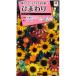  цветок. вид подсолнух коллекция маленький пакет takii вид рассада ( АО )(NL300)