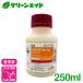 �E���� �g�����X�t�H�[���t���A�u�� 250ml ���Y���w �J�����V�� �A�u�����V�� �R�i�W���~�� �g�}�g �i�V �����S �Q�� �_�� �_��
