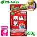 �E���� �E�ۍ� �x�j�JX�K�[�h���� 550g �Z�F���w���| ���� �a�C �� �K�[�f�j���O ���| �r�M�i�[���� ���S�Ҍ���