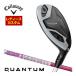 25%OFF купон объект специальный заказ custom Club Callaway QUANTUM MAX FASTwi мужской служебная программа Tour AD-50 вал 