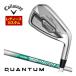  специальный заказ custom Club Callaway QUANTUM MAX FASTwi мужской железный одиночный товар [#6,AW] N.S.PRO 750GH neo вал 