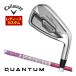  специальный заказ custom Club Callaway QUANTUM MAX FASTwi мужской железный одиночный товар [#6,AW] Tour AD-50 вал 