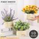  искусственная зелень искусственный цветок интерьер смешанные товары предметы интерьера украшение . салон орнамент закрытый оборудование орнамент роза hi вокруг Margaret лаванда leaf лист .. лиловый 