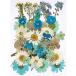  pressed flower Mix blue * white group 14×10cm size 1 sheets 2209 that day shipping pf30
