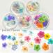  resin . go in material raw materials resin accessory pressed flower small flower dry flower preserved flower spring springs resin nails material for flower arrangement 1 piece 2404 rp-364