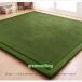 ���O �J�[�y�b�g �k�� �Ɍ�20mm �ᔽ�����O 150*200cm ���O �J�[�y�b�g �t�����l�� �R�� �h�� �h�_�j ����~�ߕt 80*200cm �I�[���V�[�Y�� ���O�}�b�g ����