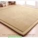 ���O �J�[�y�b�g �k�� �Ɍ�20mm �ᔽ�����O 150*200cm ���O �J�[�y�b�g �t�����l�� �R�� �h�� �h�_�j ����~�ߕt 80*200cm �I�[���V�[�Y�� ���O�}�b�g ���� �֘A�摜2