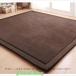���O �J�[�y�b�g �k�� �Ɍ�20mm �ᔽ�����O 150*200cm ���O �J�[�y�b�g �t�����l�� �R�� �h�� �h�_�j ����~�ߕt 80*200cm �I�[���V�[�Y�� ���O�}�b�g ���� �֘A�摜3