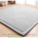 ���O �J�[�y�b�g �k�� �Ɍ�20mm �ᔽ�����O 150*200cm ���O �J�[�y�b�g �t�����l�� �R�� �h�� �h�_�j ����~�ߕt 80*200cm �I�[���V�[�Y�� ���O�}�b�g ���� �֘A�摜4