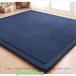 ���O �J�[�y�b�g �k�� �Ɍ�20mm �ᔽ�����O 150*200cm ���O �J�[�y�b�g �t�����l�� �R�� �h�� �h�_�j ����~�ߕt 80*200cm �I�[���V�[�Y�� ���O�}�b�g ���� �֘A�摜5