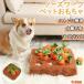 �y�b�g�������� �m�[�Y���[�N �ɂ񂶂� �y�b�g �������� �� �ɂ񂶂� ���� �L �˂� �m�[�Y���[�N �m��ߋ� �ʂ������ �l�Q �L�m�R ����� �g�C �m��g�C
