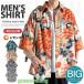 �V���c �A���n�V���c �����Y ���� �J�W���A���V���c ���� �ܕ����V���c �ԕ� �t�� ������� �g�b�v�X �A���n �����Y�V���c ���s �r�b�O�V���G�b�g ������ �ĕ�