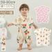 �x�r�[�� �����p�[�X ���� �� �O�J�� �V���� ���� �j�̎q ���̎q �� ������ �o�Y�j�� �t�� ��[�΍� �ĕ� ���� �ʋC�� �_�炩�� �Ȑ� 59 66 73 80 90cm