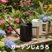  лейка jouro Joe ro модный нержавеющая сталь черный угол выгода Gardening Pro 89262
