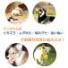 �}�Y�� �� ���ʖi���h�~ ���p ���� ���̂��� �E���H���h�~ ���� �g���[�j���O �A�q�� ���Ђ�� ���ւɌ����Ȃ� ���� ���^�� ��^���@M�@L�T�C�Y �֘A�摜1