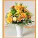 �v���U�[�u�h�t�����[ �� �J�Əj�� �J�X�j�� �J�@�j�� �ړ]�j�� �f�G�ȃA�����W�����g �傫��   eapoir�i�G�X�|���[���j