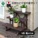 �t�����[�X�^���h 3�i 60cm �ԑ� ���|���b�N ���u���� �����A�� �I �v�����^�[�X�^���h�y�t�����[�X�^���h 3�i600�z