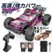 ���W�R�� �I�t���[�h ���W�R���J�[ ��l �q�� RC�J�[ ���� ���� ���� 4WD �u���V���X���[�^�[ �l�֋쓮 �v���[���g �����F�؍� dz129
