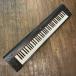 Yamaha Piaggero NP-31 Keyboard Yamaha клавиатура -GrunSound-f258-