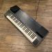 Technics SX-PV10 Keyboard Technics электронное пианино клавиатура -GrunSound-w767-