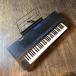 -RARE- Technics SX-PV10 Keyboard Technics электронное пианино клавиатура -GRUN SOUND-w856-