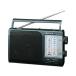 SONY ICF-800 FM радио ( черный )