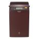  Panasonic бытовая хлебопечь GOPAN(go хлеб ) 1. модель Brown SD-RBM1001-T
