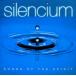  внутри становится тихий .?Silencium