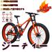  bicycle MTB,fato wheel bike / fatbike /fato tire mountain bike, beach cruiser fato tire bike snow bike fato big 