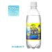 ڤ2Ȣåȡۥ٥뤢 ٻλζú  500ml48 ú ꥹ IRIS OHYAMA