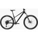 CANNONDALE HABIT HT 3 Cannondale - bit Hard tail MTB горный велосипед Trail doropa- post microSHIFT Advent X