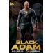 (25% off. специальная цена . ваш заказ )BLACK ADAM RISE AND FALL OF AN EMPIRE TP
