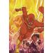 (25% off. специальная цена . ваш заказ )FLASH REBIRTH DLX COLL HC BOOK 01