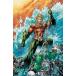 (25% off. специальная цена . ваш заказ )AQUAMAN A CELEBRATION OF 75 YEARS HC