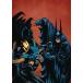 (25% off. специальная цена . ваш заказ )BATMAN KNIGHTSEND TP
