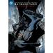 (3 скидка. специальная цена . ваш заказ )BATMAN DAY 2025 - BATMAN HUSH 20TH ANNIVERSARY EDITION HC VARIANT DUSTJACKET