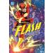(25% off. специальная цена . ваш заказ )FLASH BY GRANT MORRISON AND MARK MILLAR THE DELUXE EDITION HC