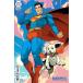 KRYPTO THE LAST DOG OF KRYPTON #1 (OF 5)<C покрытие >