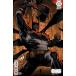ABSOLUTE BATMAN #21<B покрытие >