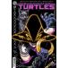 TEENAGE MUTANT NINJA TURTLES #17<B покрытие >