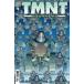TMNT JOURNEYS #9<A покрытие >