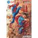 DC MARVEL SUPERMAN SPIDER-MAN #1 (ONE SHOT)<P покрытие >